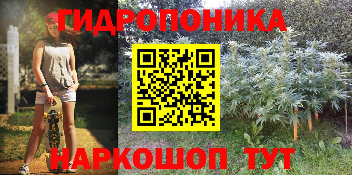 Бошки марихуана планчик  Бошки марихуана THC 21%  Вход с VPN  Камышлов 